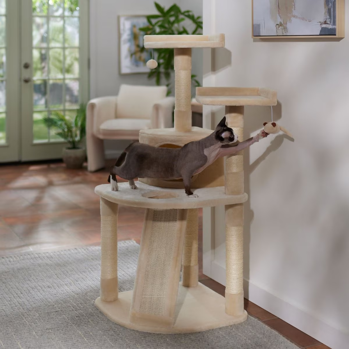 A hairless cat play with a toy mouse hanging off a beige cat multi-level climbing and scratching tower.